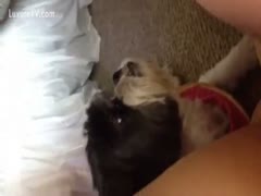 Naughty teenage girl getting her young cunt licked by a fluffy dog 